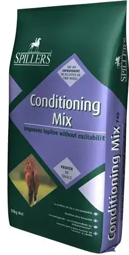 Shine + Conditioning Mix 20K Spillers
