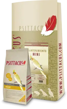 Psittacus Pienso de Mantenimiento Mini
