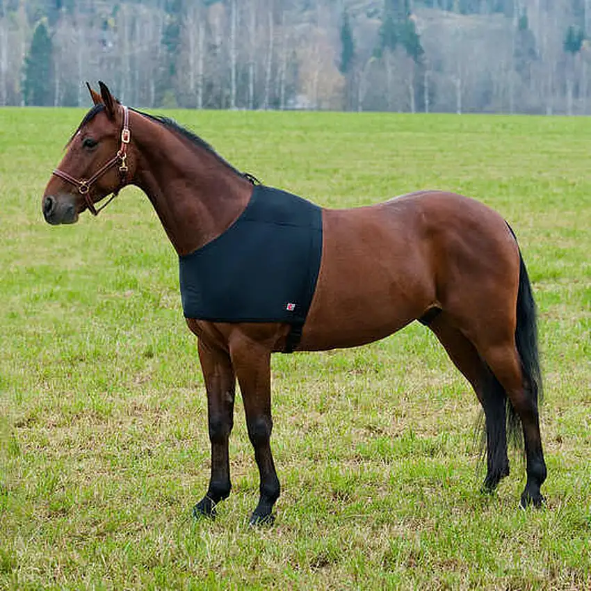 Protección de los hombros de los caballos bajo cubierta ComForce