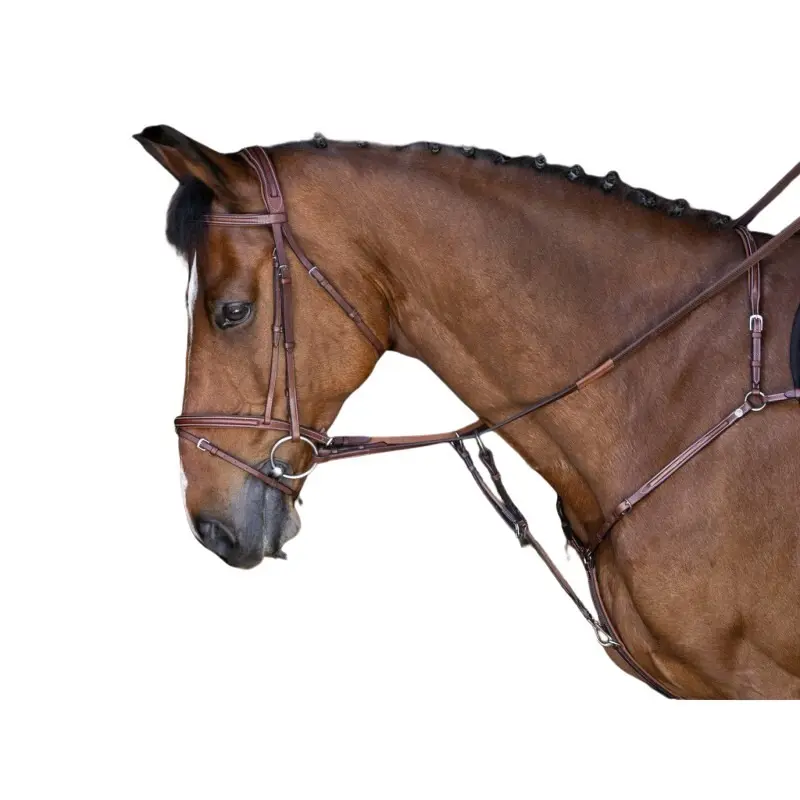 Collar de caza para ponis Hybrid