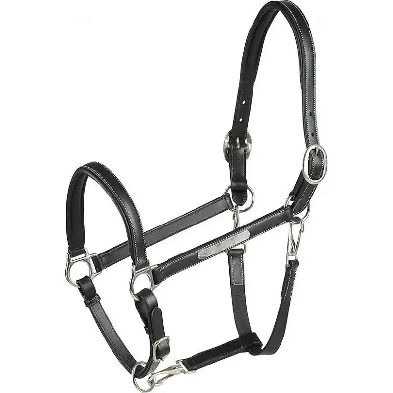 Cabezada de cuero para caballos de pura sangre ERIC THOMAS “Pro”