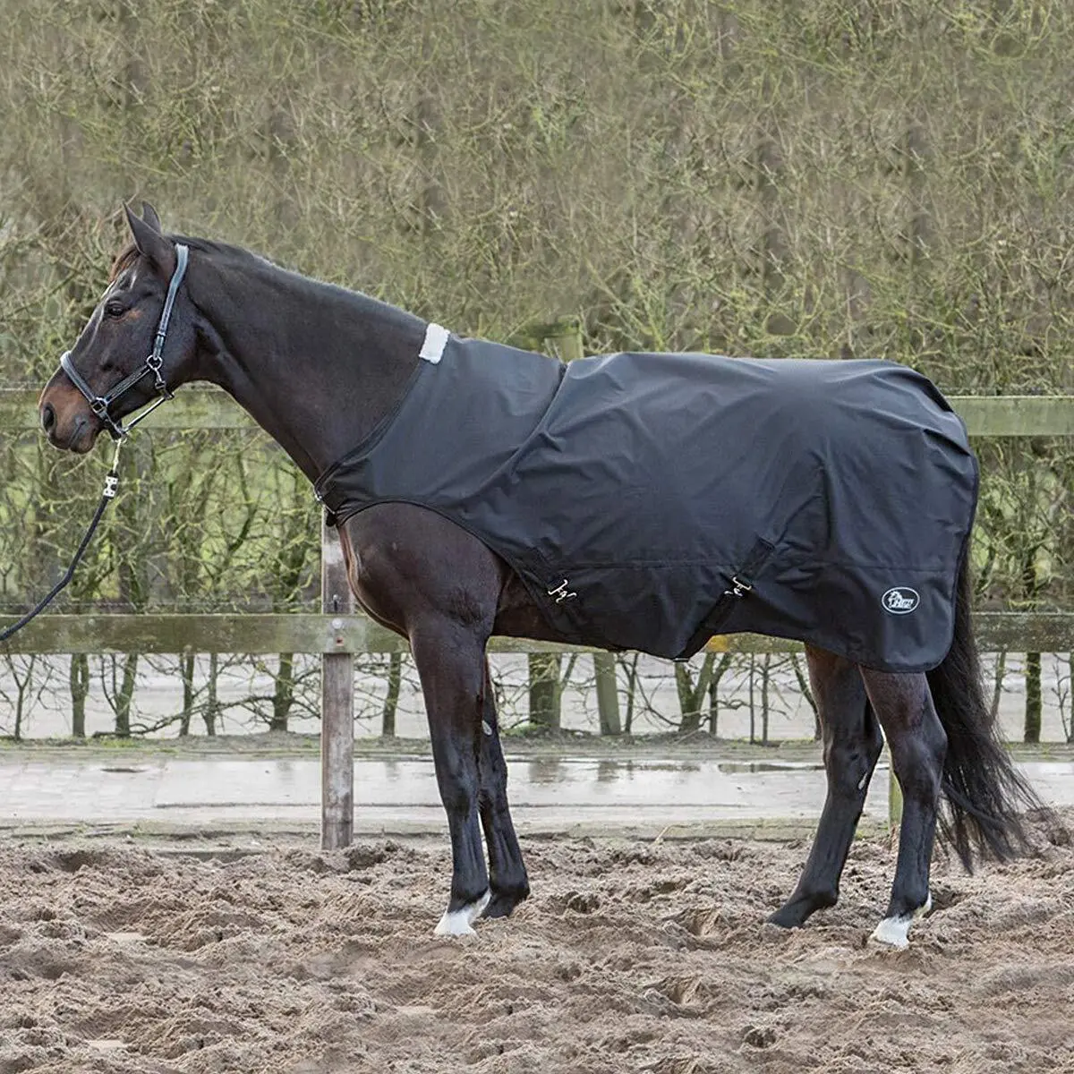 Manta impermeable para caminantes de caballos