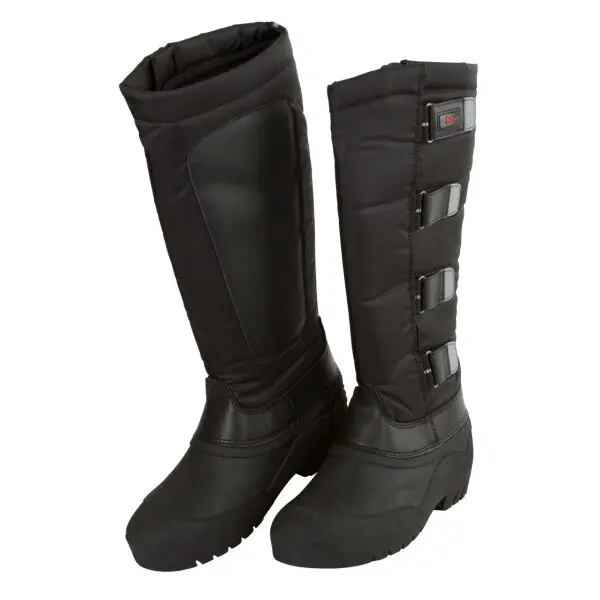 Botas clásicas de invierno