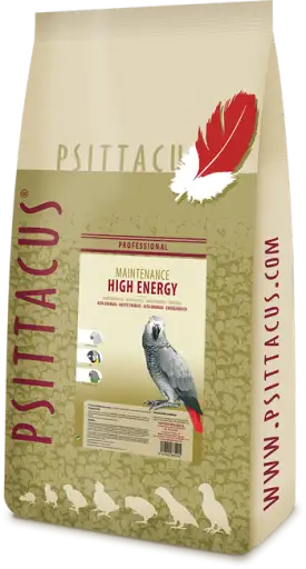 Psittacus Pienso Alta Energia