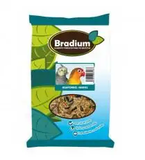 Bradium Agapornis Y Ninfas