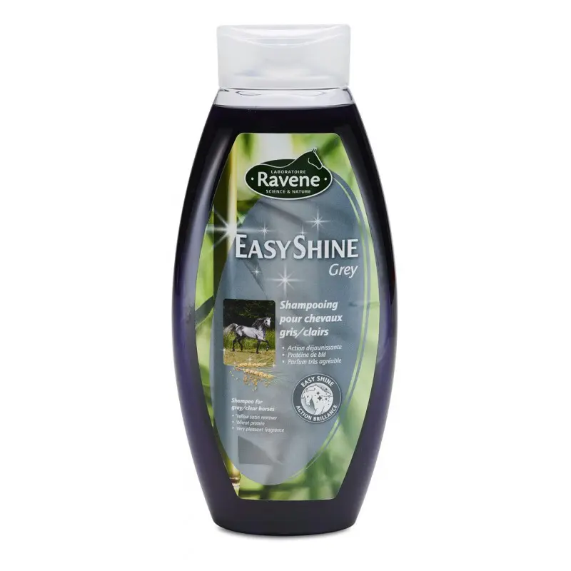 Champú Easy Shine Grey