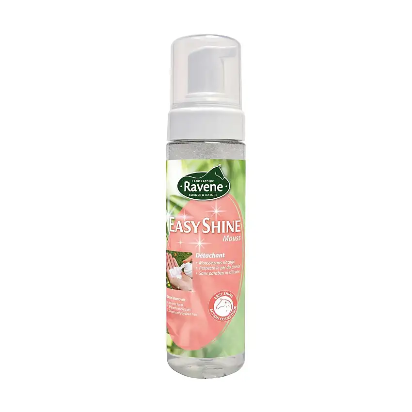 Espuma quitamanchas Easy Shine