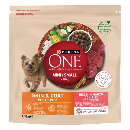 Purina One Mini Skin & Coat