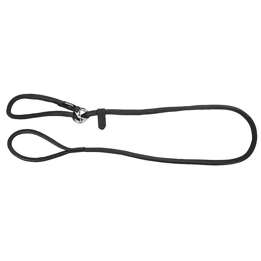Correa para perros con collar integrado Roma
