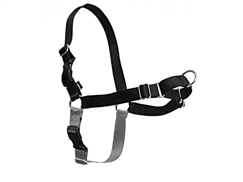 Arnés + Correa Easy Walk - Negro / XL