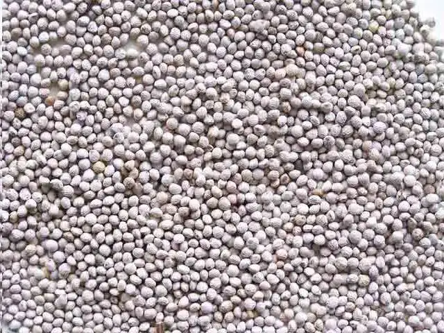 Perilla Blanca Pilesan 500 g