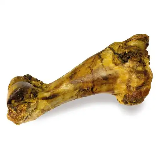 Arquivet Hueso de Ternera Extra-Grande
