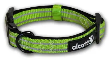 Alcott Collar Explorer Adventure Reflectante Verde