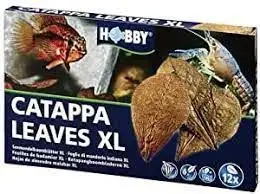 Hobby Hojas de Catappa XL