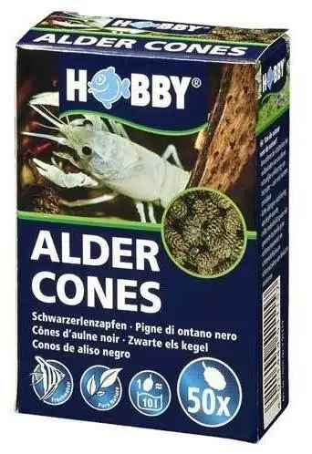 Hobby Alder Cones