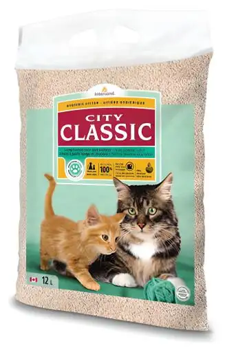 Intersand City Classic Pelo Largo y Gatitos