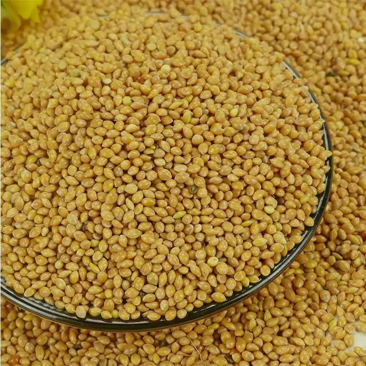 Mijo Amarillo Sinfonía Bolsa 2 kg
