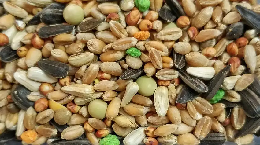Mixtura Perdices Sinfonía Bolsa 2K.