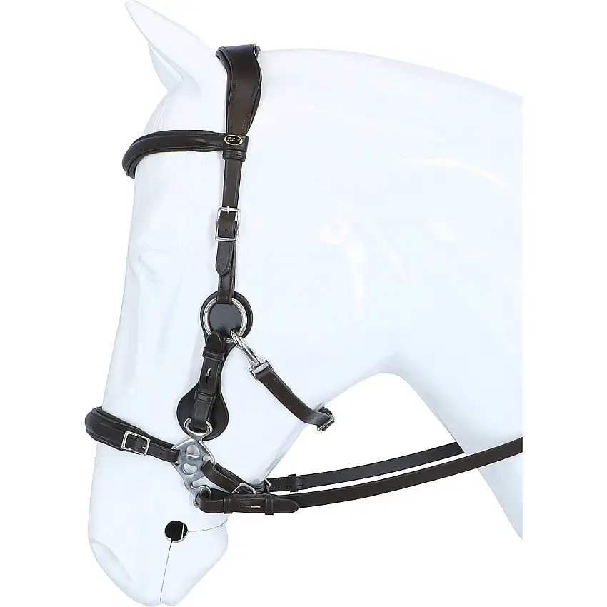 F.R.A. Hackamore Hackamore Calli Habana