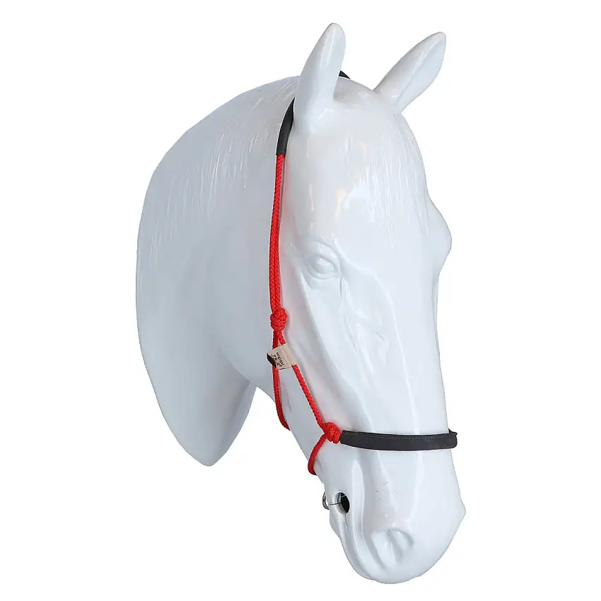F.R.A. Cabezada de entrenamiento Capal Nubuck Profi Rojo