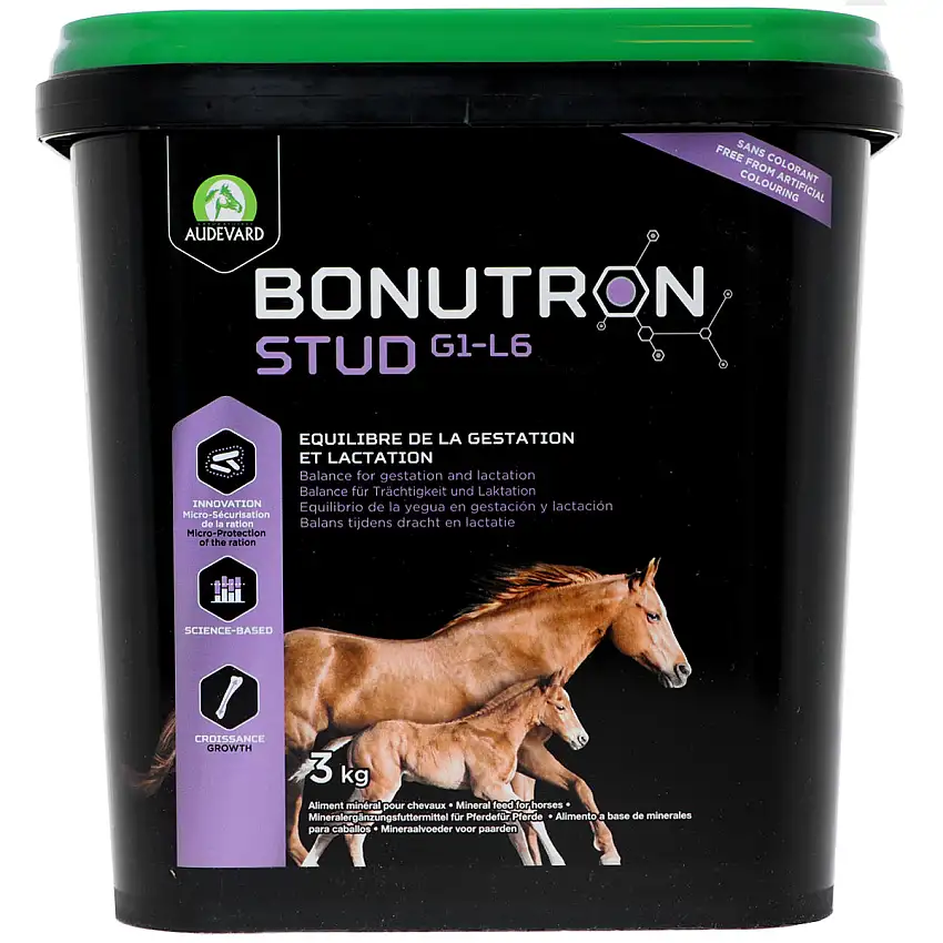 Audevard Bonutron Stud