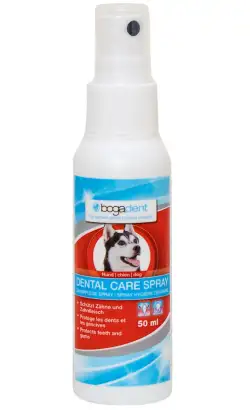Espray dental Bogadent | 50 ml