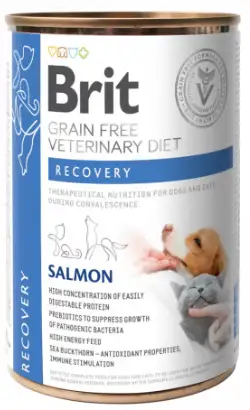 Brit Veterinary Diet Dog & Cat Recovery Grain-Free Salmon | Wet (Can) | 400 g