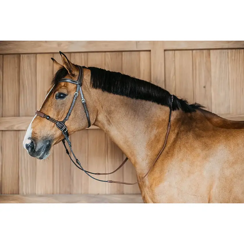 Dyon Brida sin Bocado 140,0  Marron