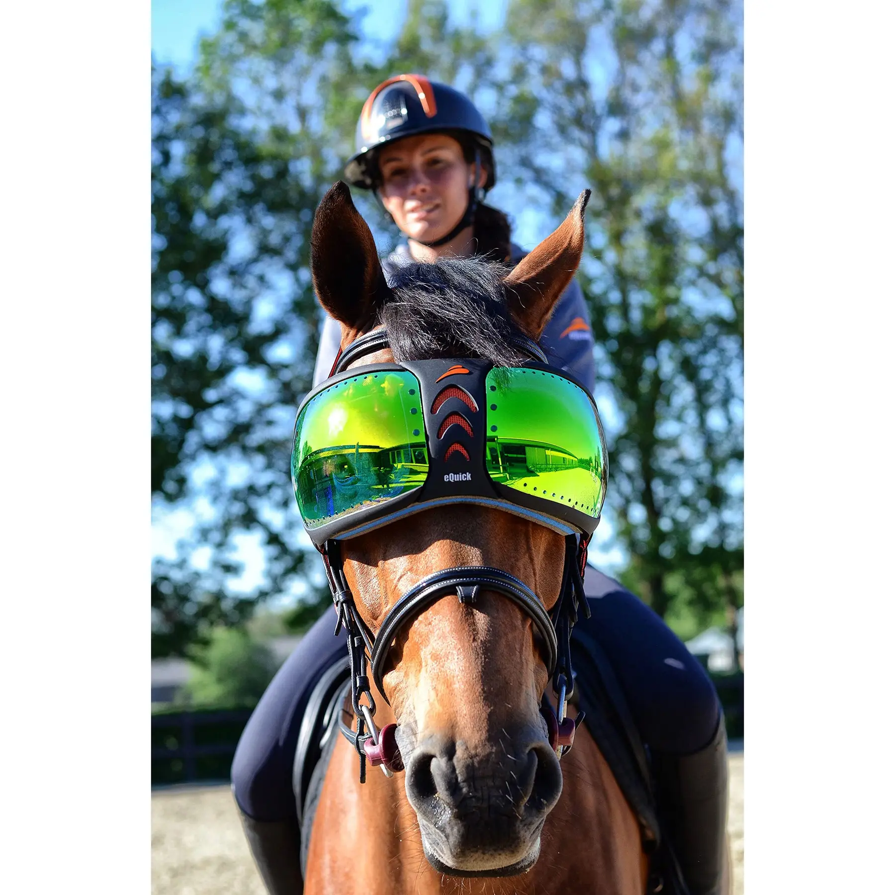 Gafas de caballo eVysor