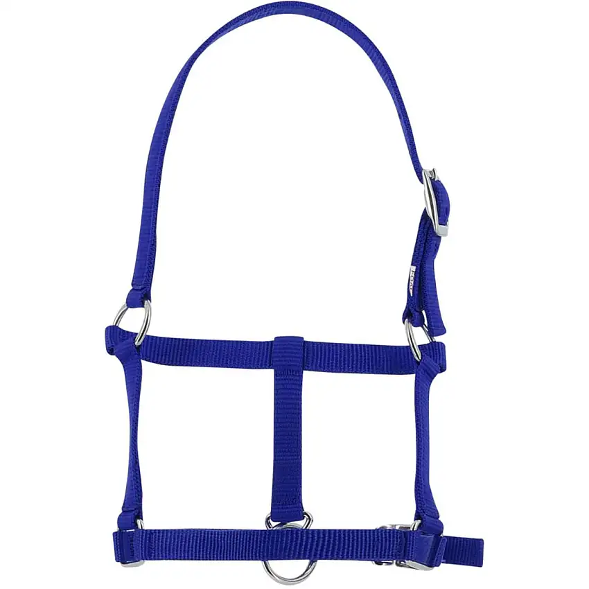 Riding World Cabezada Azul Real