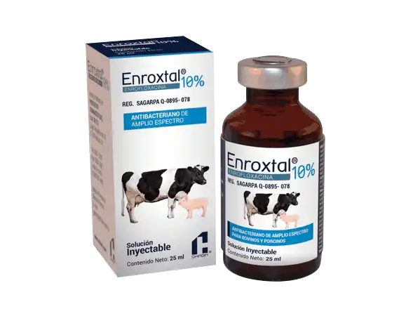 ENROXTAL 10% 25 mL inyectable