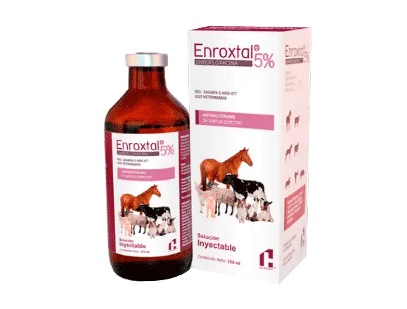 ENROXTAL 5% 50 mL Inyectable