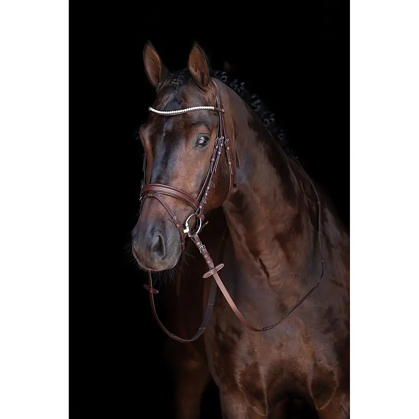 HKM Brida Mia Marron