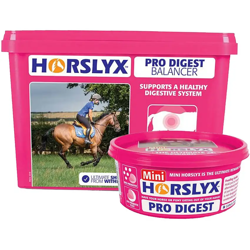 Horslyx Piedra de Lamer Original
