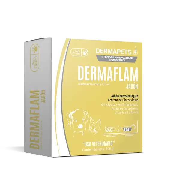 Dermaflam Jabón 100 g