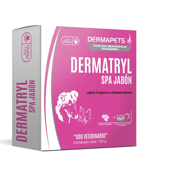 Dermatryl SPA Jabón 100 g