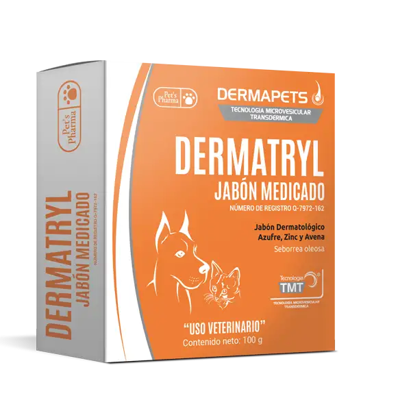 Dermatryl Medicado Jabón 100 g