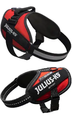 Julius-K9 IDC Powerharness Dog Harness | Red | L