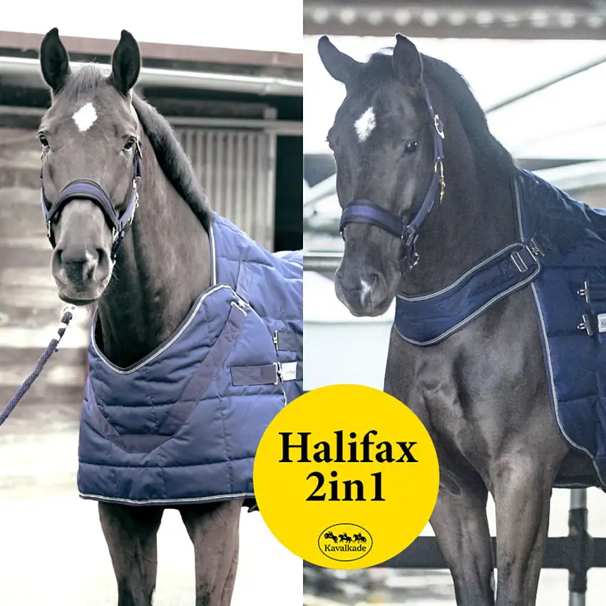 Kavalkade Manta Halifax 2en1 200g Marino