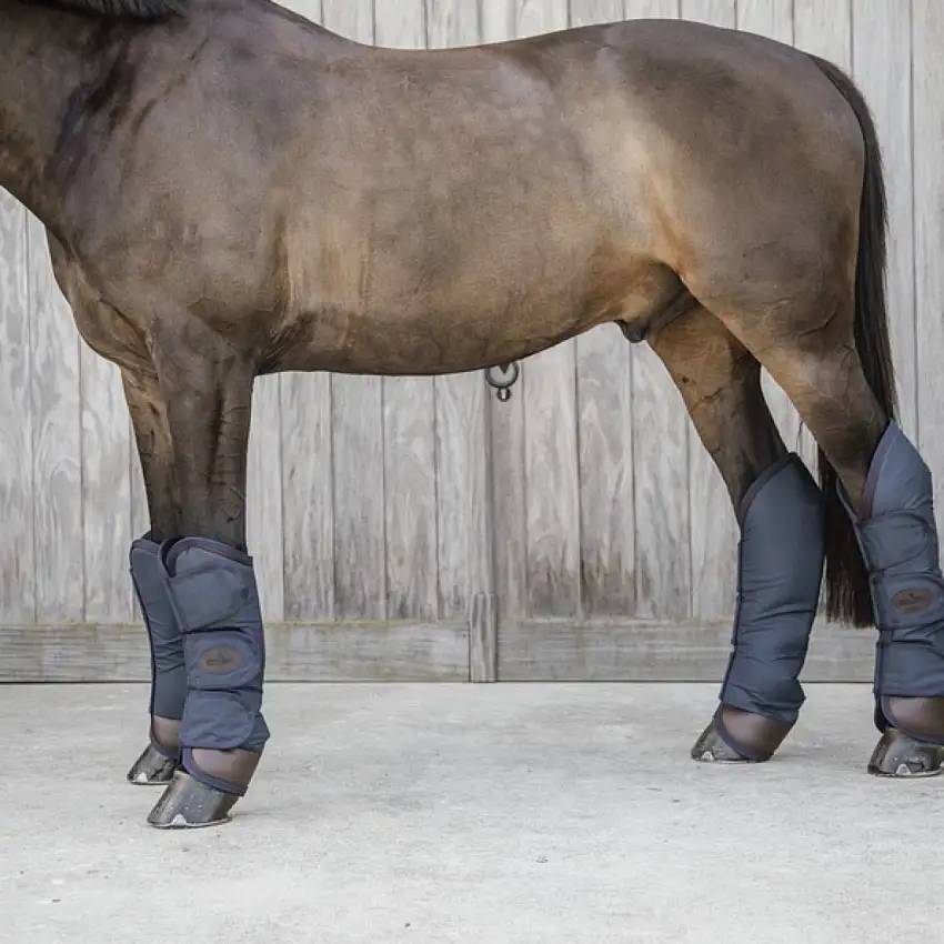 Kentucky Horsewear Protectores de transporte Navy