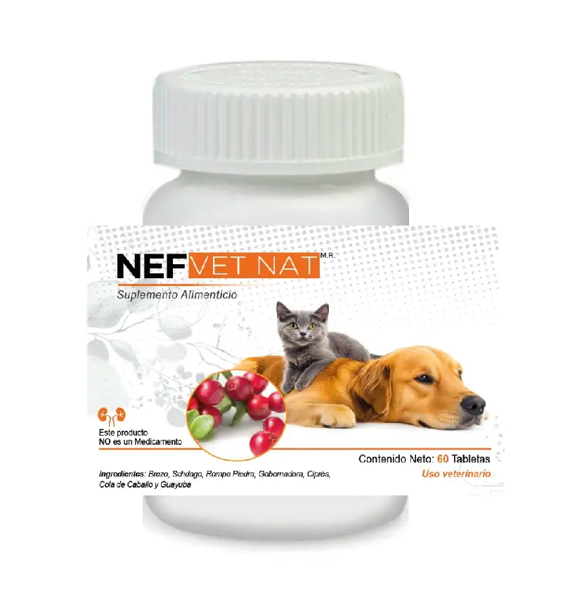 Nef VetNat 100 Tabletas  Vías Urinarias Antes Renal VetNat  (Renalvetnat)