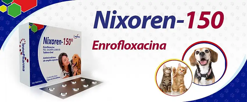 Nixoren 150 Caja con 20 tabletas
