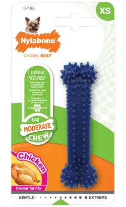 Juguete dental masticable moderado para perros Nylabone | Pequeño