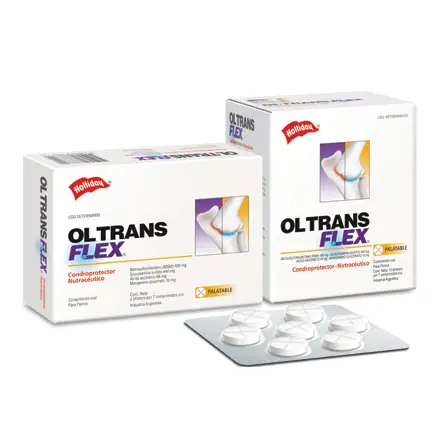 Ol trans flex  palatable 70 tabletas ( condroprotector )