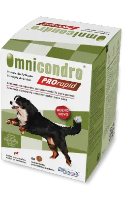 Omnicondro ProRapid Tablets | 60 tablets