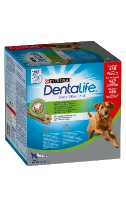 Purina Dentalife Large Big Pack Dog Biscuits | 36 sticks