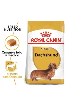 Alimento para perros adultos Royal Canin Dog Dachshund | 1,5 kg