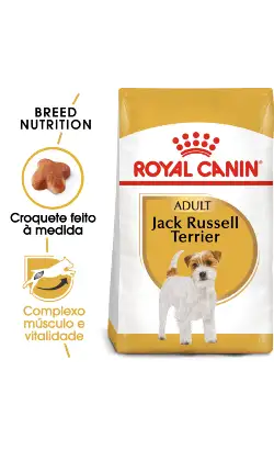 Alimento para perros adultos Royal Canin Dog Jack Russell Terrier | 3 kg