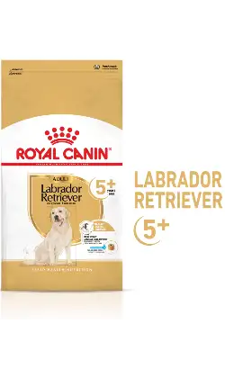 Royal Canin Dog Labrador Ageing 5+ Dog Food | 12 Kg
