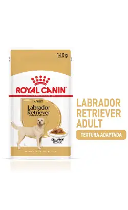 Royal Canin Dog Labrador Retriever Adult Wet Food | Wet (pouches) | 10 x 140 g